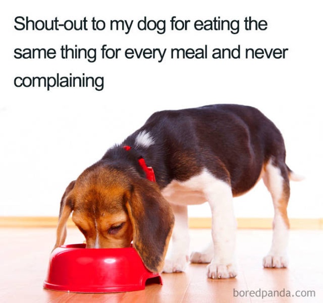 Weight Loss Memes (45 pics)