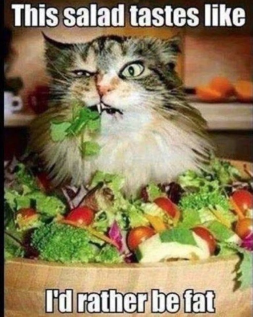 Weight Loss Memes (45 pics)