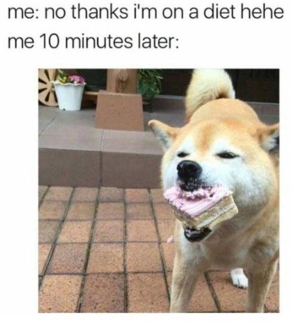 Weight Loss Memes (45 pics)