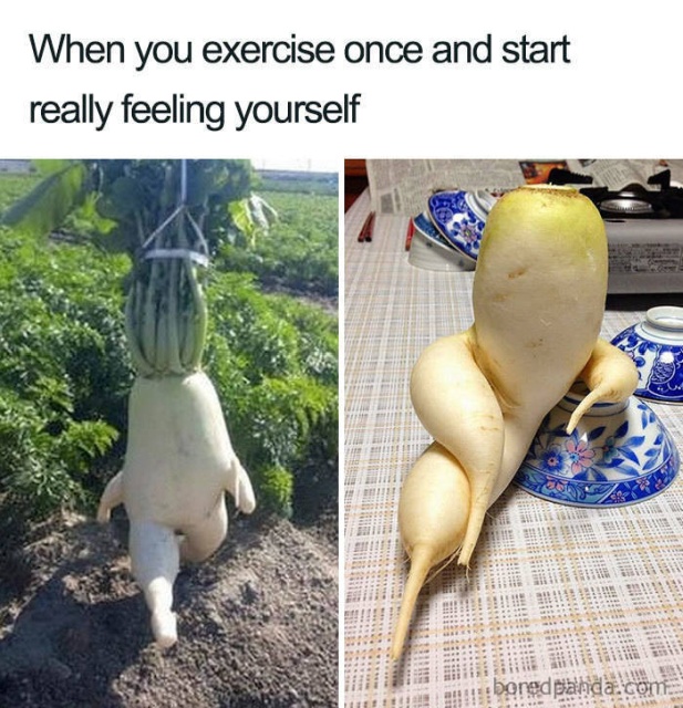 Weight Loss Memes (45 pics)