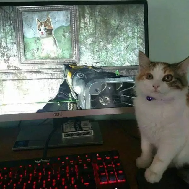 Pets And Gaming (30 pics)