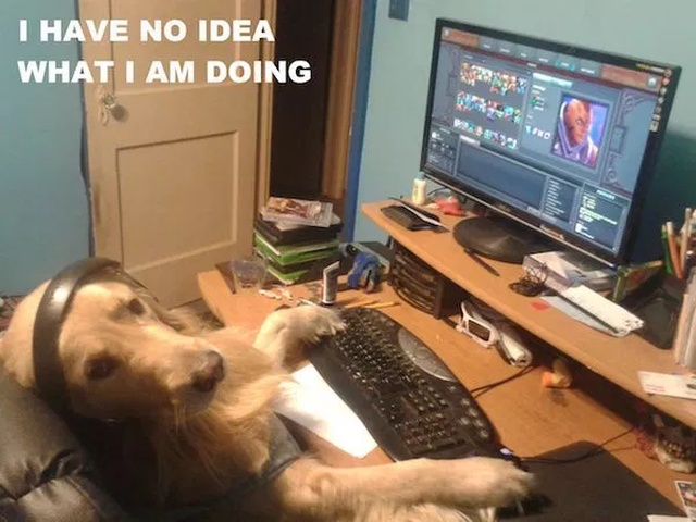 Pets And Gaming (30 pics)