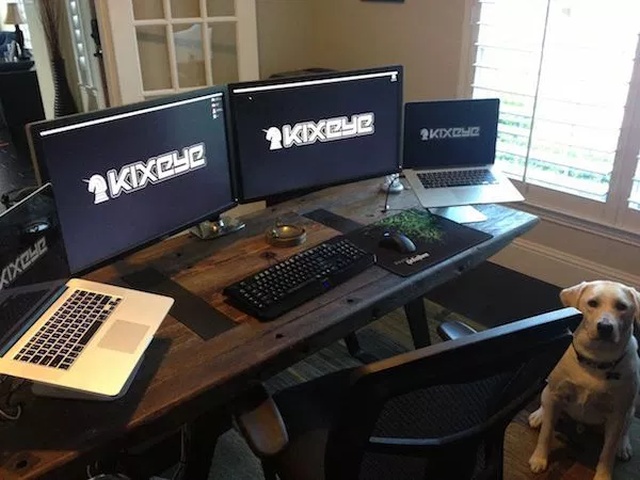 Pets And Gaming (30 pics)
