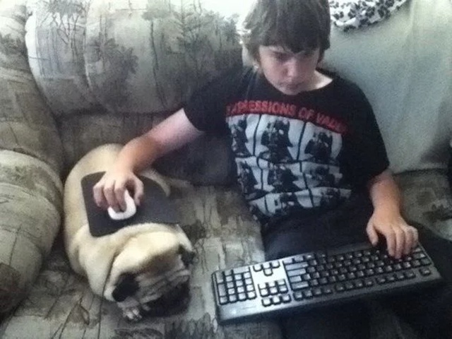 Pets And Gaming (30 pics)