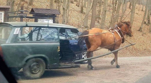 Acid Picdump (51 pics)