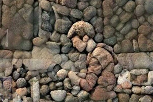 Acid Picdump (51 pics)