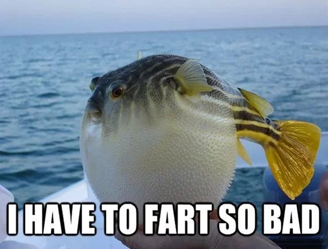 Fishing Memes (34 pics)