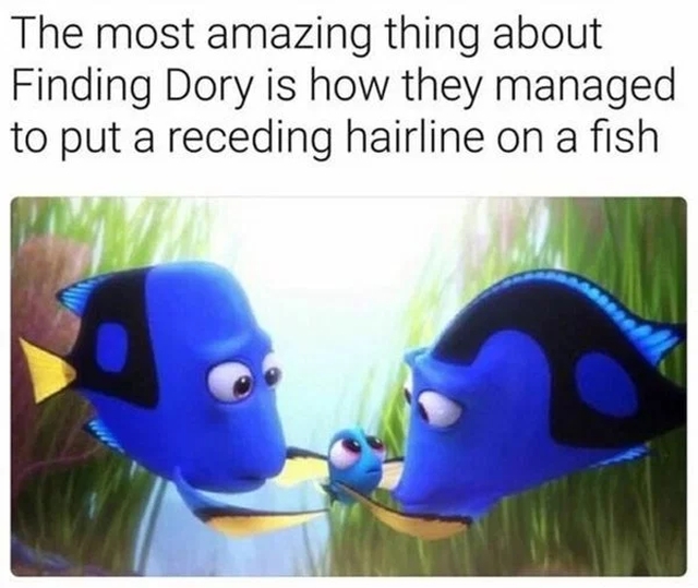 Fishing Memes (34 pics)