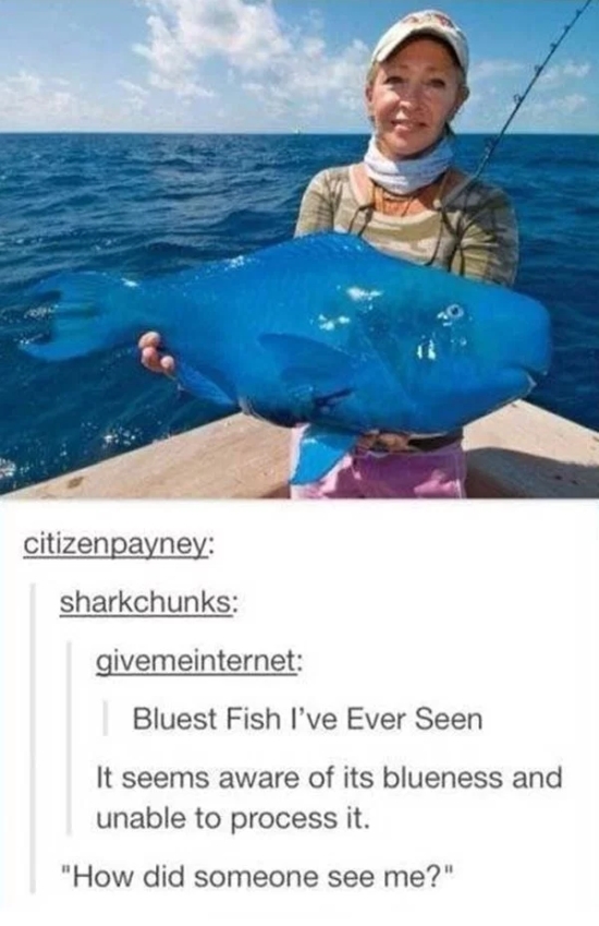 Fishing Memes (34 pics)