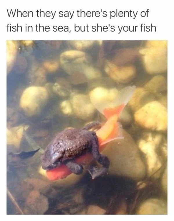 Fishing Memes (34 pics)