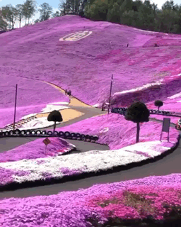 Acid Gifdump, April 1 (25 gifs)