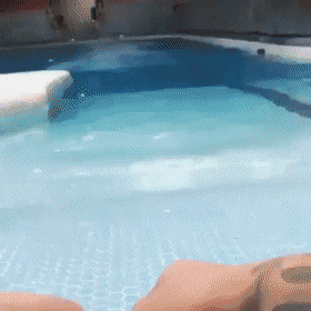Acid Gifdump, April 1 (25 gifs)