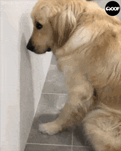 Acid Gifdump, April 1 (25 gifs)