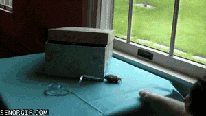 Acid Gifdump, April 1 (25 gifs)
