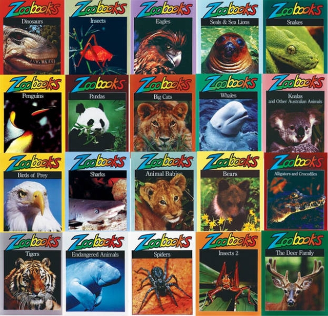 Your Daily Dose Of Nostalgia (47 pics)