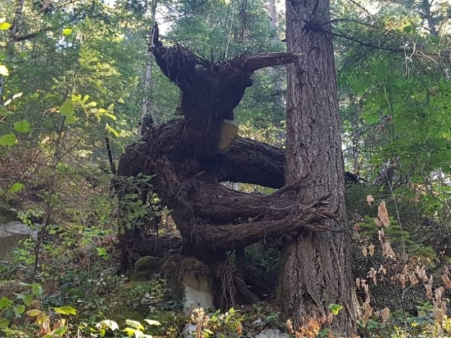 Look Twice (50 pics)