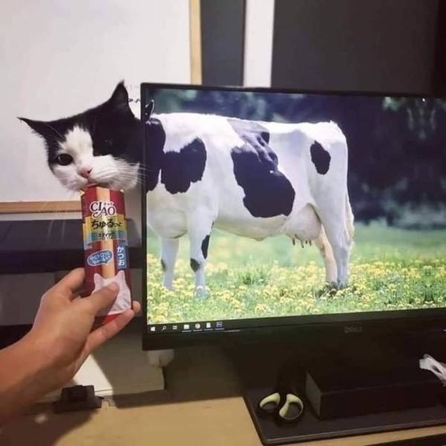 Look Twice (50 pics)