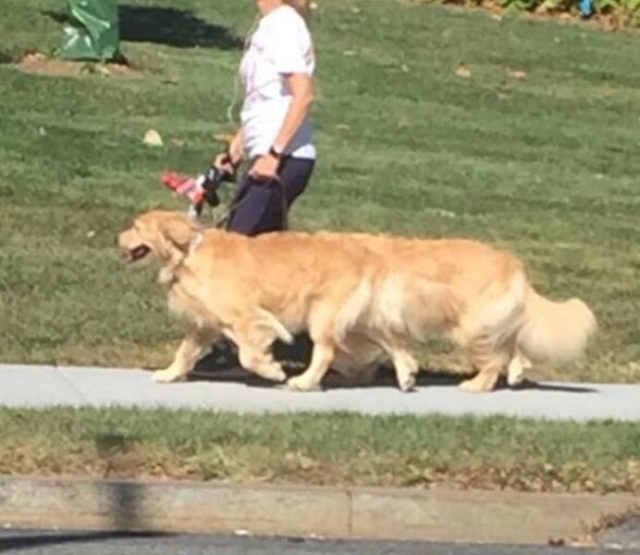 Look Twice (50 pics)