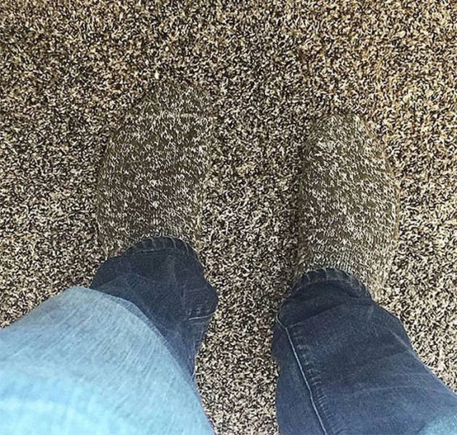 Look Twice (50 pics)