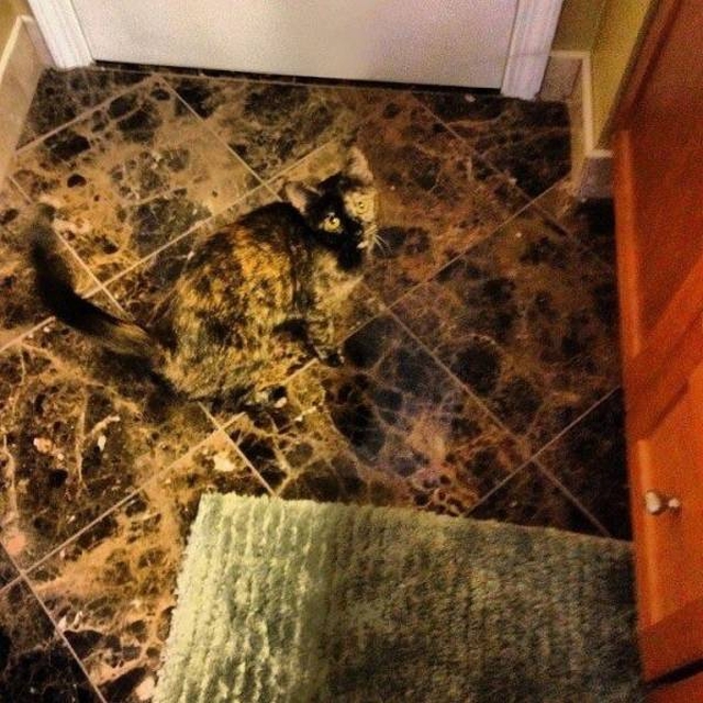 Look Twice (50 pics)