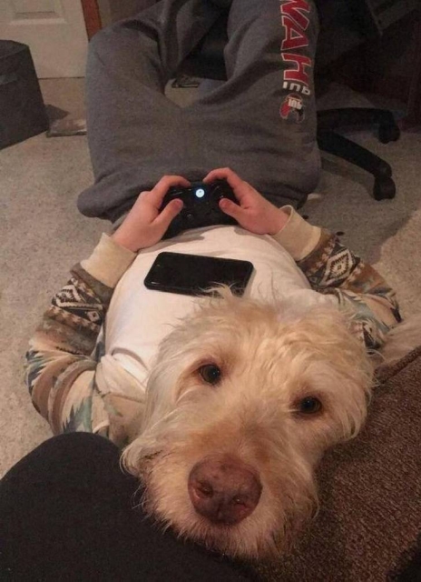 Look Twice (50 pics)