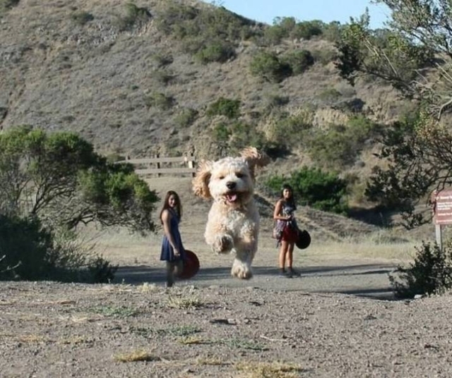 Look Twice (50 pics)