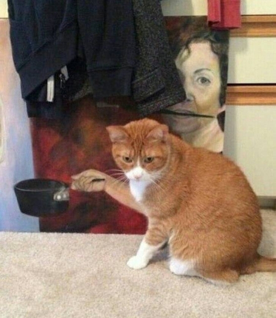 Look Twice (50 pics)