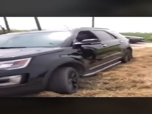 What A Stupid Decision