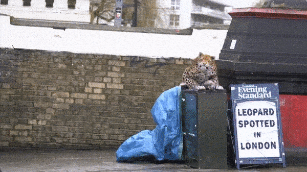 Prank GIFs (16 gifs)