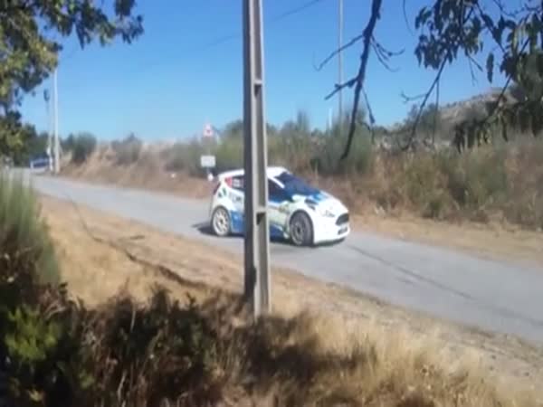 Portuguese Driver Abdicates From Victory To Not Kill A Dog