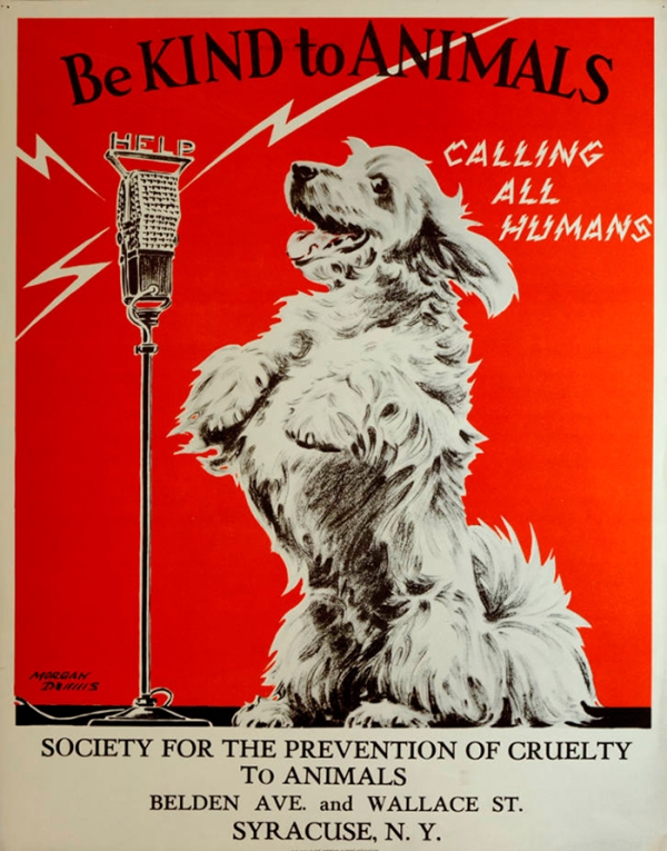 Vintage Posters From The Great Depression Promoting Kindness To Animals (17 pics)