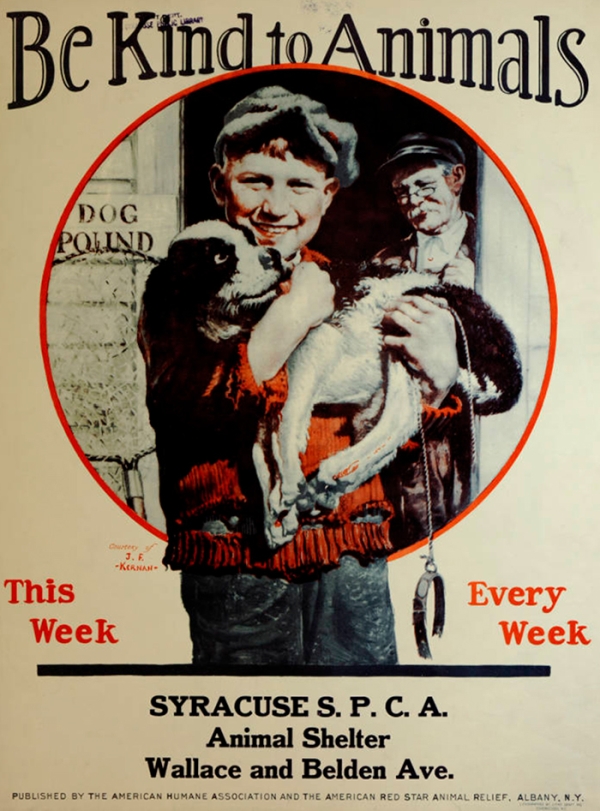 Vintage Posters From The Great Depression Promoting Kindness To Animals (17 pics)