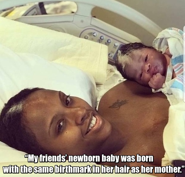 These People Don’t Need DNA Tests (17 pics)