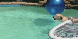 Acid Gifdump, April 3 (25 gifs)