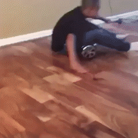 Acid Gifdump, April 3 (25 gifs)