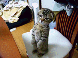 Acid Gifdump, April 3 (25 gifs)
