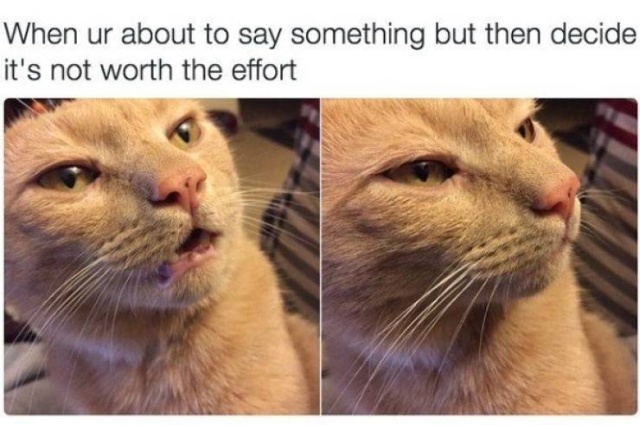 This Is Funny (45 pics)