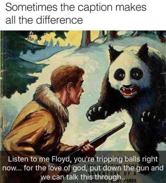 This Is Funny (45 pics)