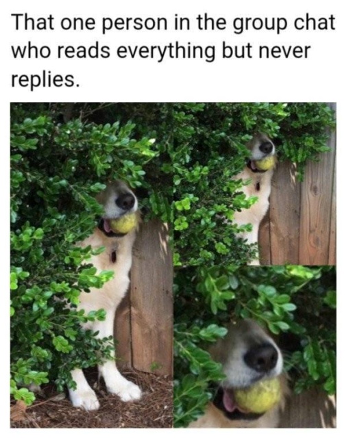 This Is Funny (45 pics)