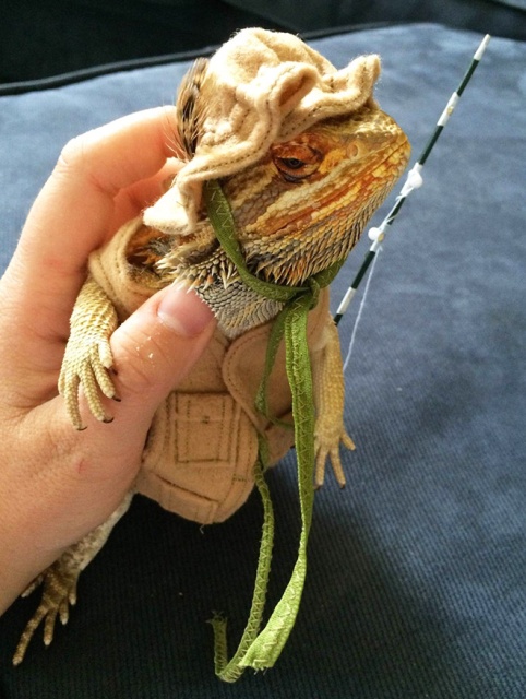 Lizard Costumes (20 pics)