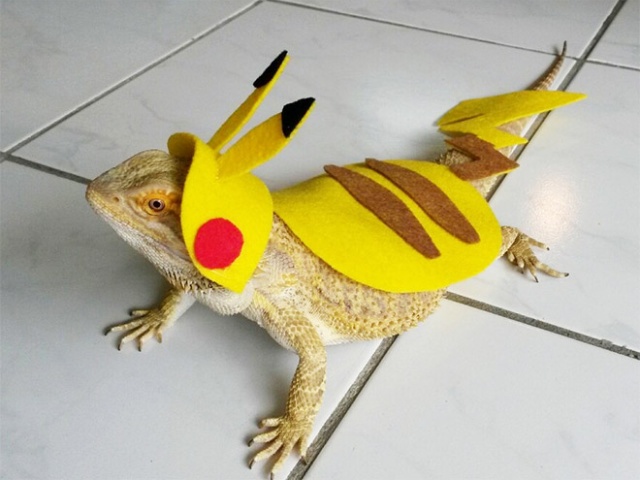 Lizard Costumes (20 pics)