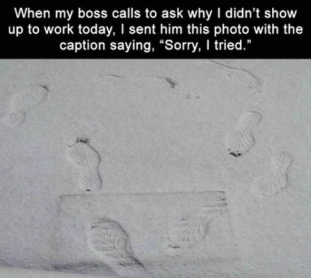 All Workdays Have Moments Like These (38 pics)