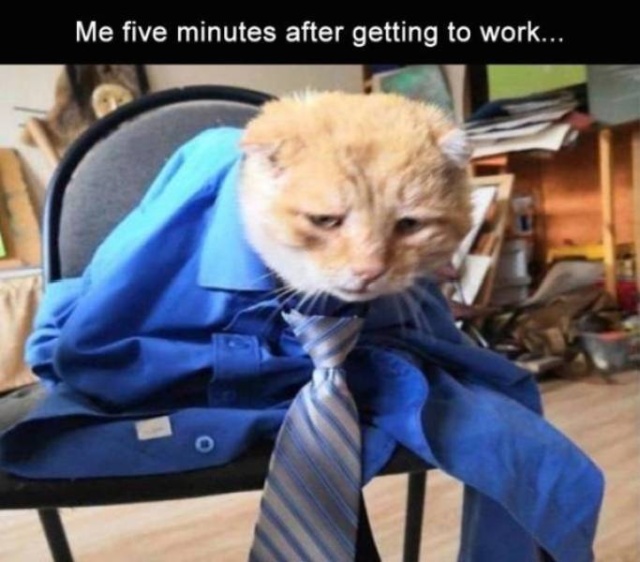 All Workdays Have Moments Like These (38 pics)