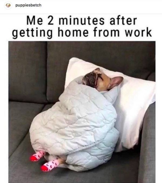 All Workdays Have Moments Like These (38 pics)