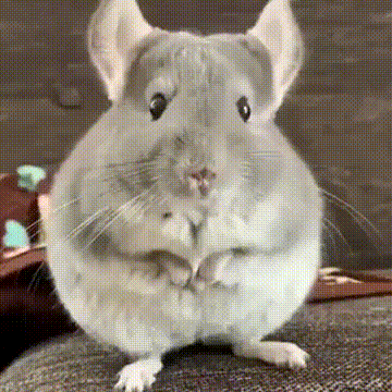 Acid Gifdump, April 4 (25 gifs)