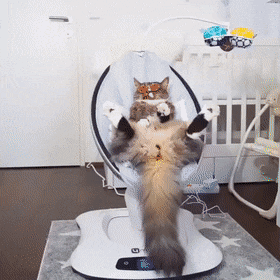 Acid Gifdump, April 4 (25 gifs)