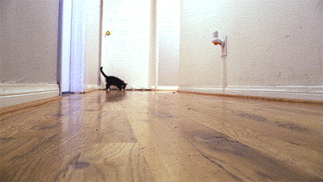 Acid Gifdump, April 4 (25 gifs)