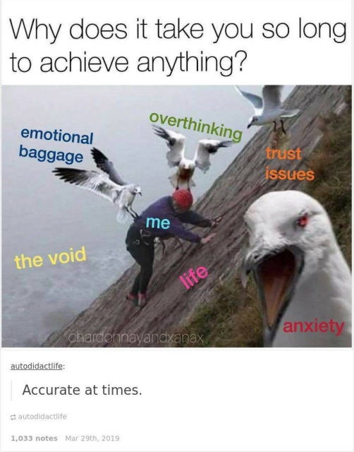 Stop Overthinking These Jokes (37 pics)