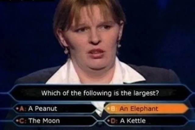 Some People Are Stupid (30 pics)