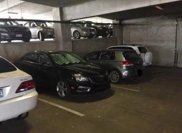 Some People Are Stupid (30 pics)